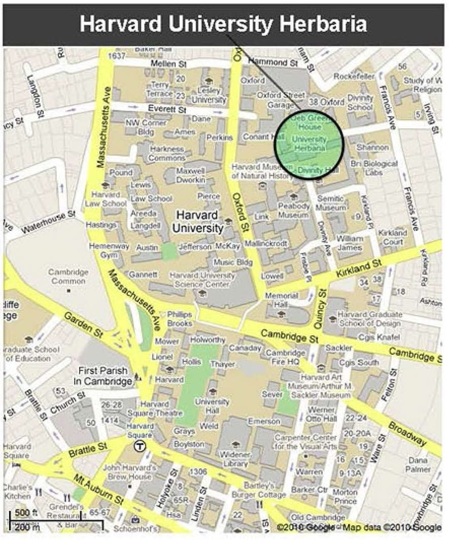 Map of Harvard University Herbaria