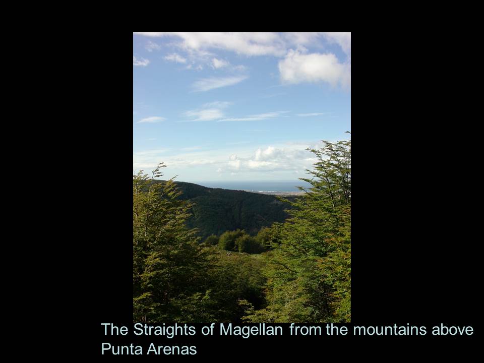 slide28.jpg