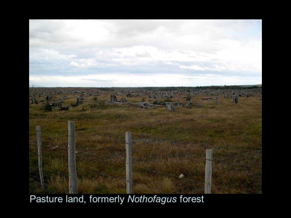 slide29.jpg