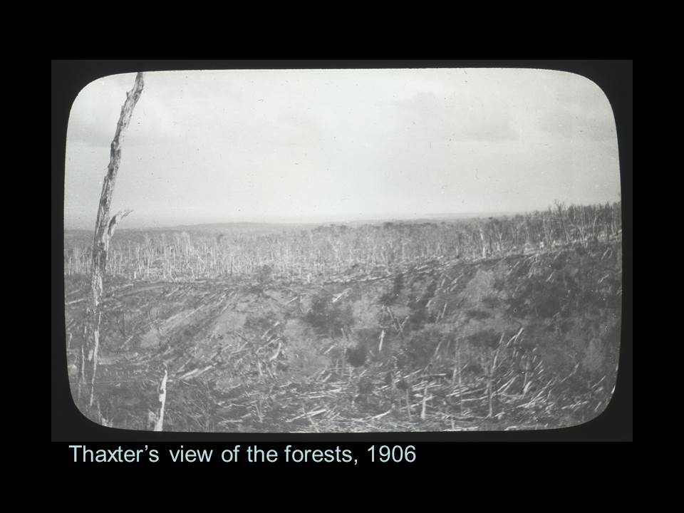 slide30.jpg