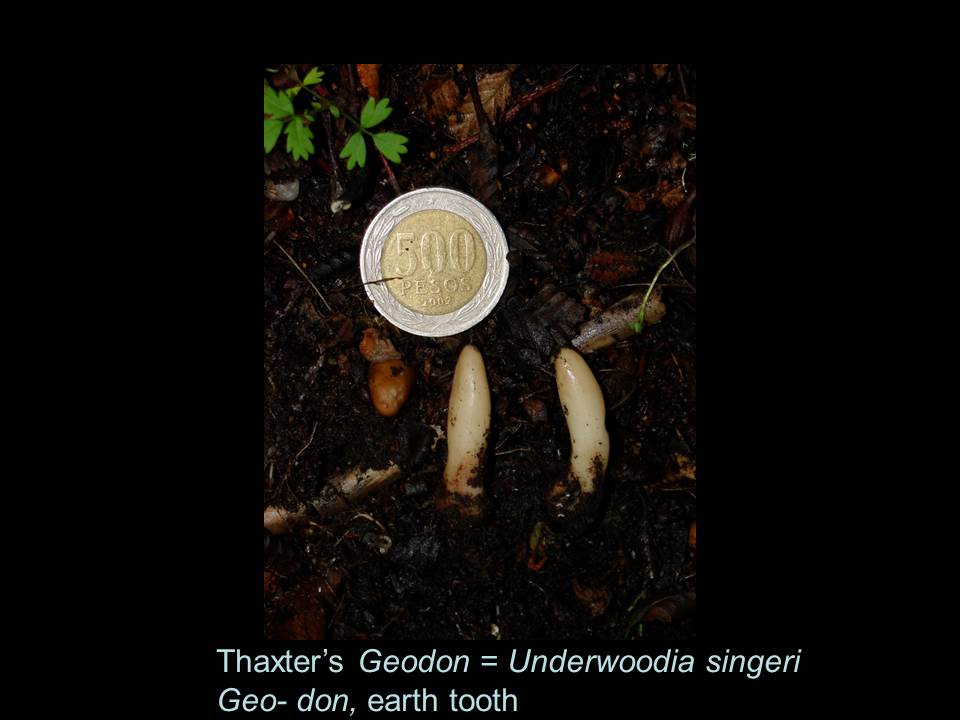 slide50.jpg