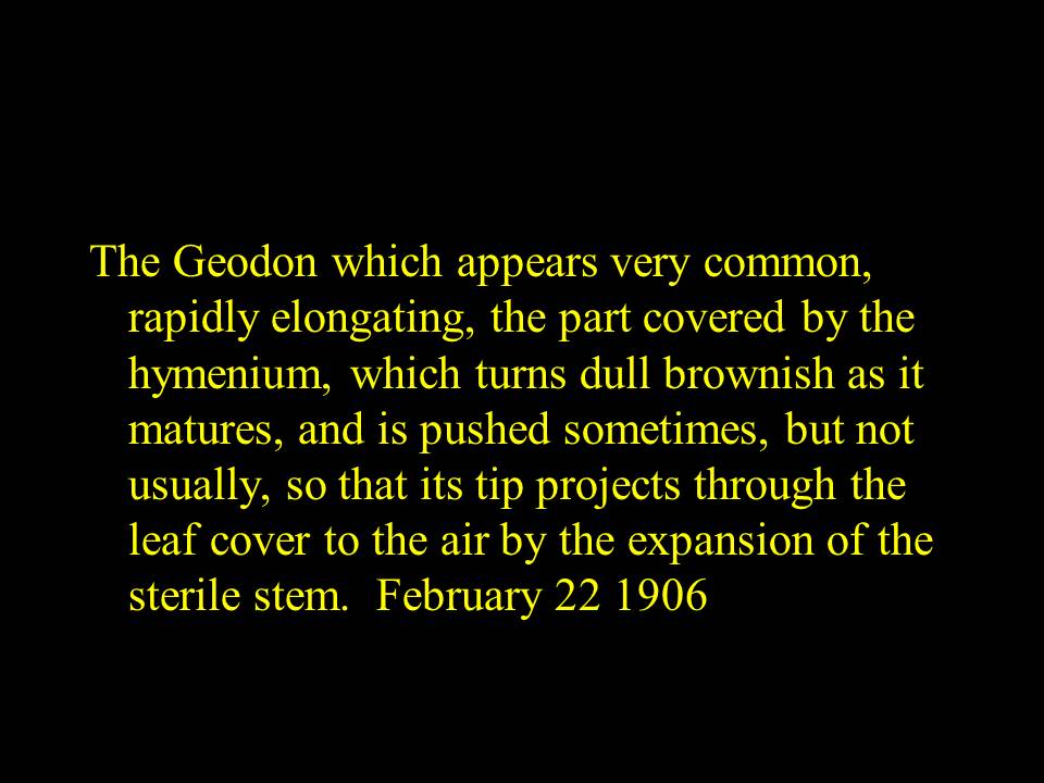 slide51.jpg