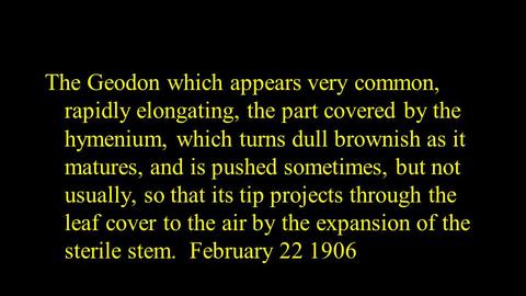 slide51.jpg
