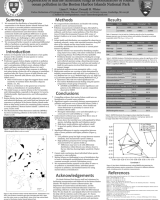 msa_poster_final_2020.png