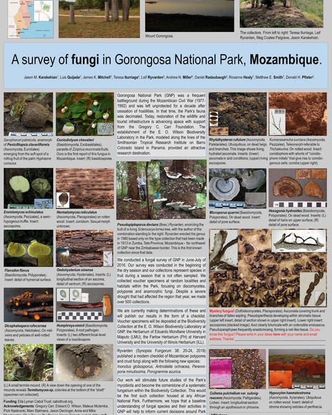 gorongosa_poster_1.jpg