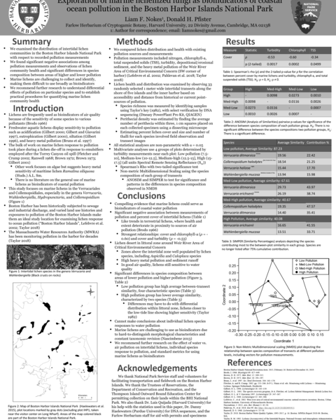 msa_poster_final_2020.png